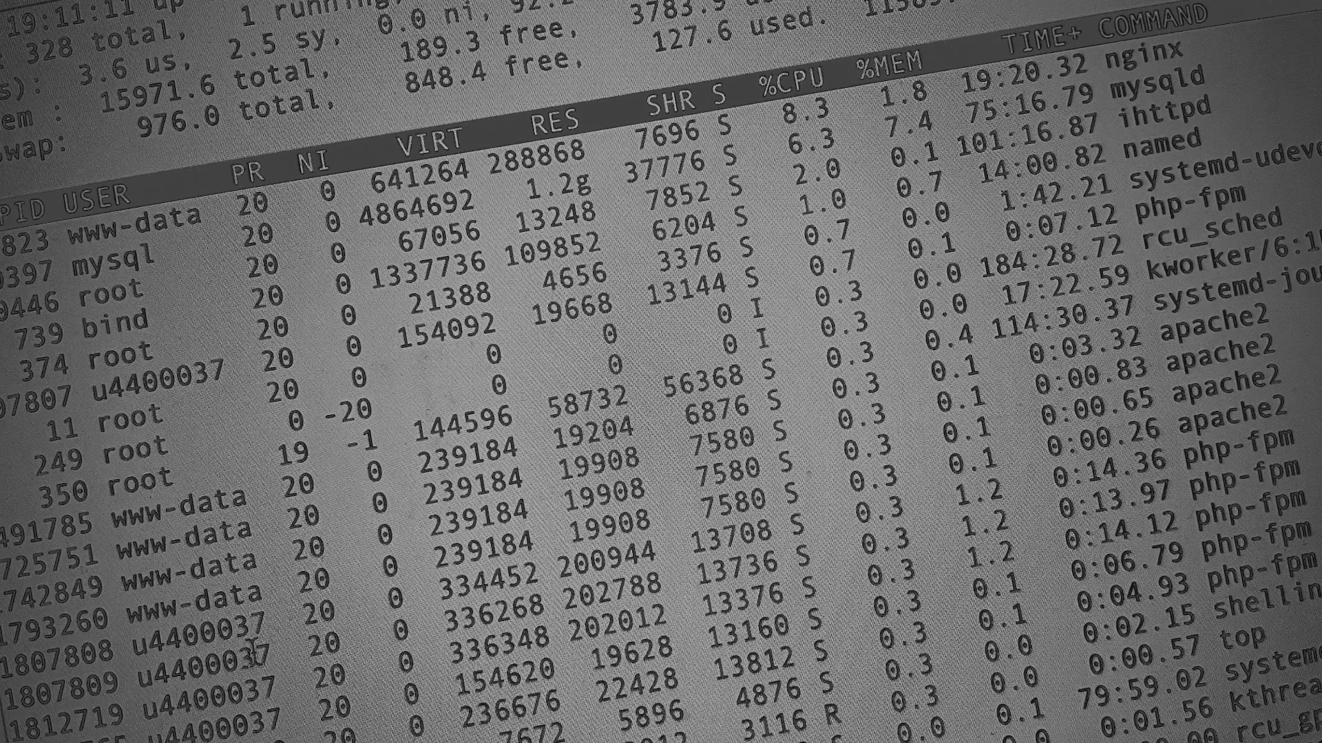 Настройка сервера в Шиханах