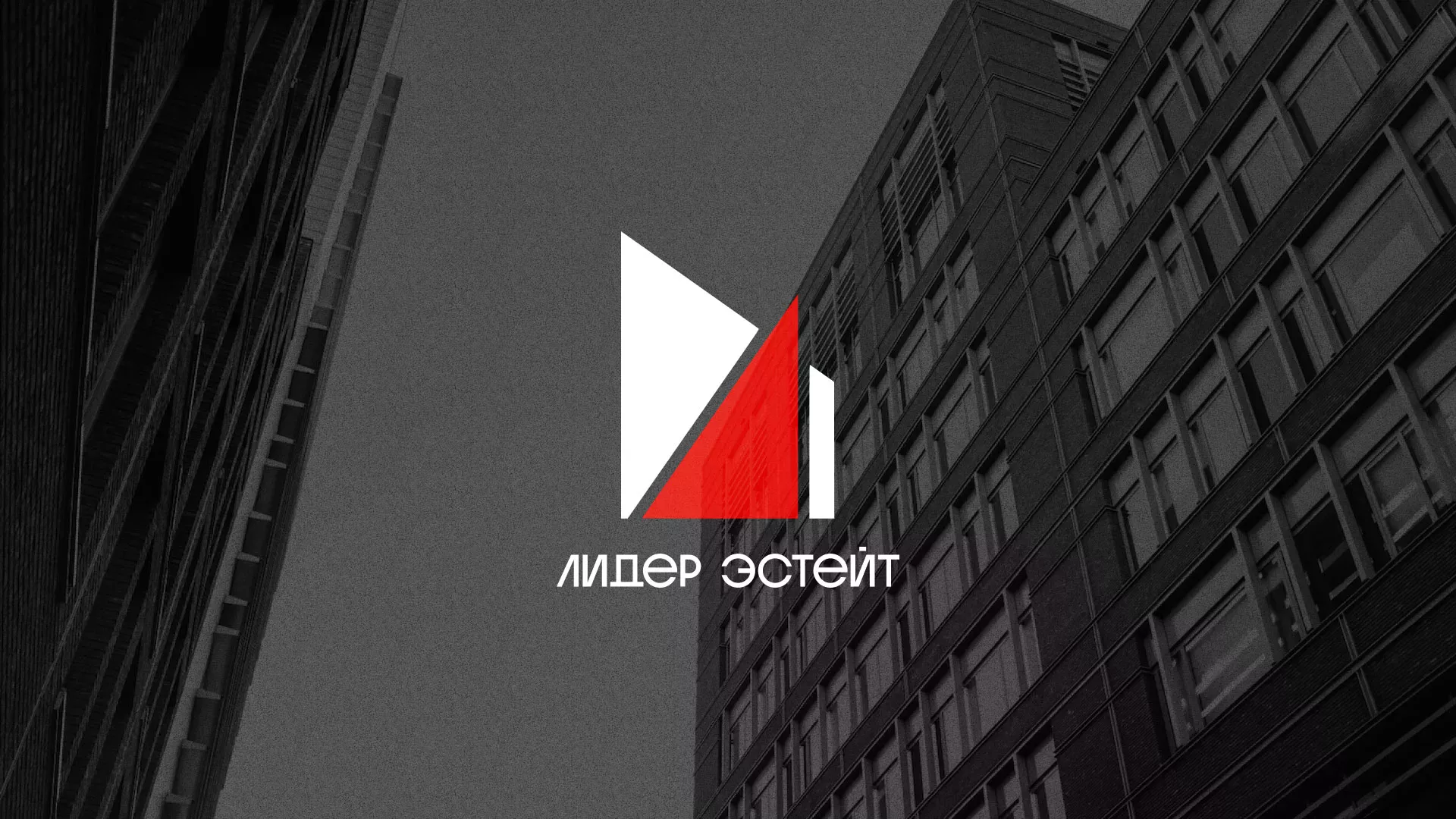 Сделали логотип для агентства недвижимости «Лидер Эстейт» в Шиханах